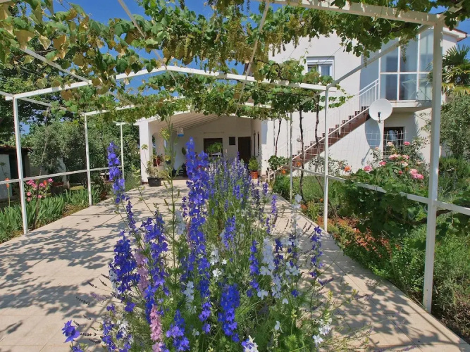 Apartments Mimoza 924