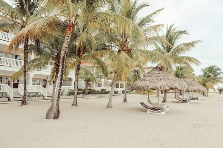 Standard Double room beachfront