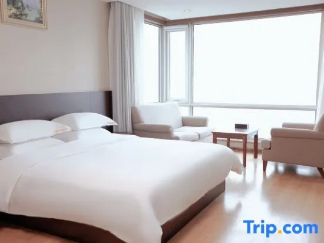 Standard Double room with city view