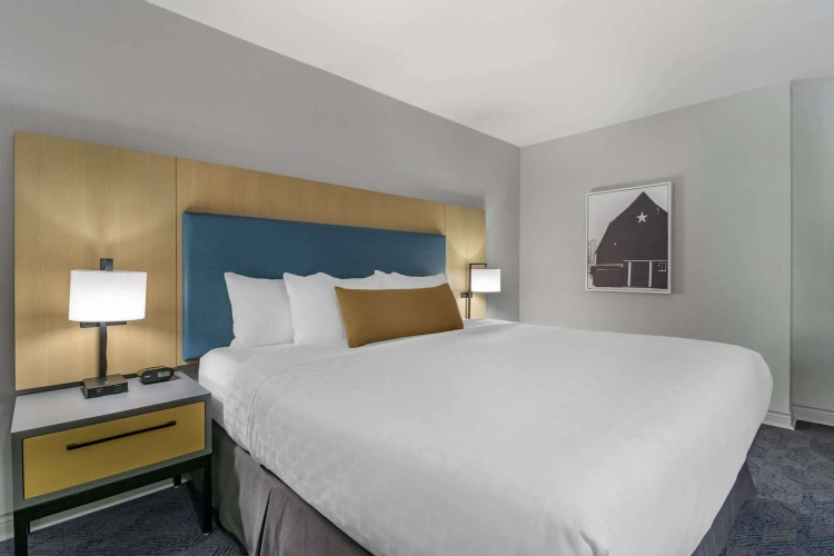 Double Suite