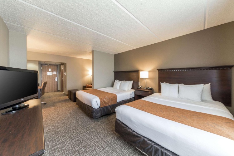 Business Quadruple Suite