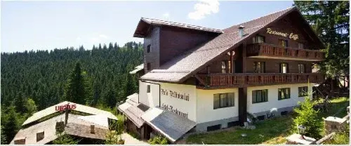 Perla Paltinisului