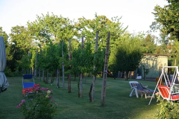 Villa Lilli 3