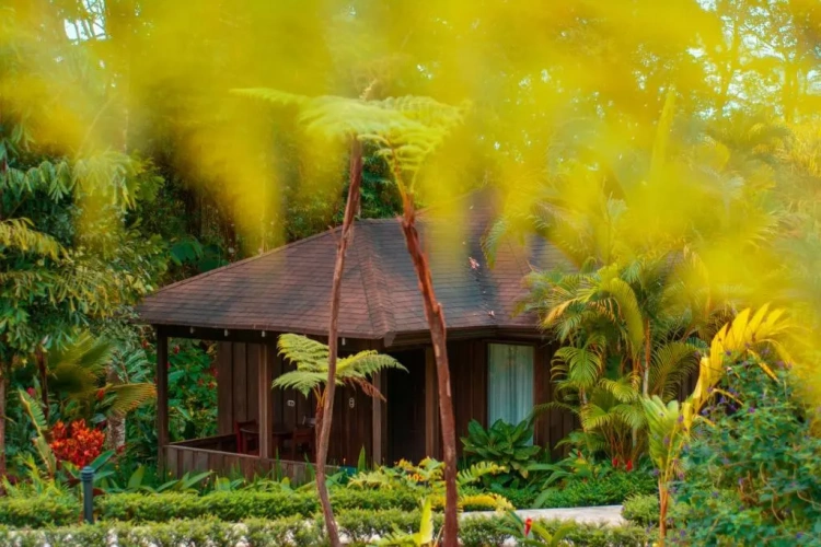 Double Bungalow