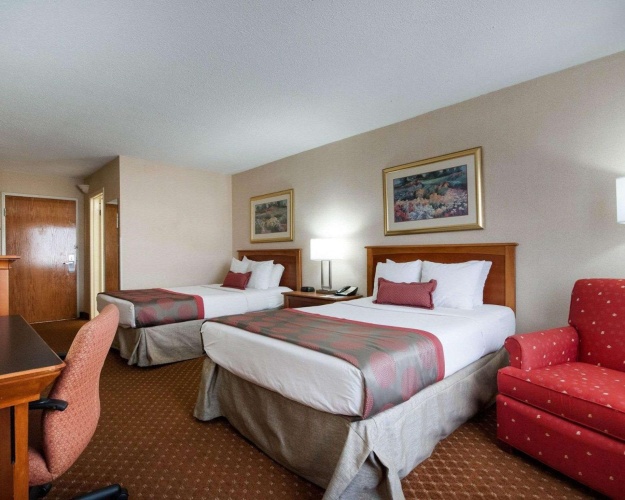 Standard Quadruple room