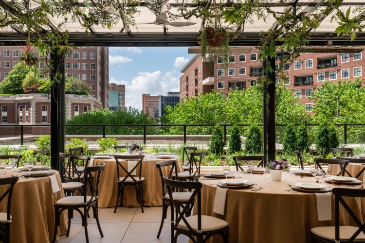 The Ritz-Carlton, St. Louis photo 22