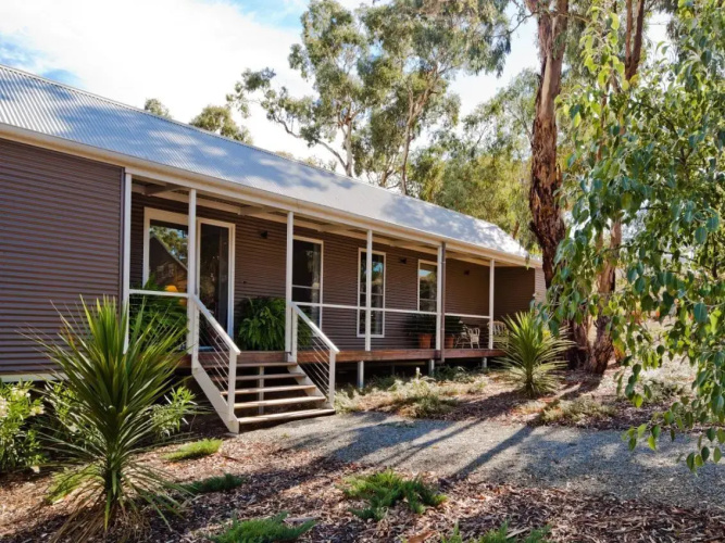 Thorn Park by The Vines