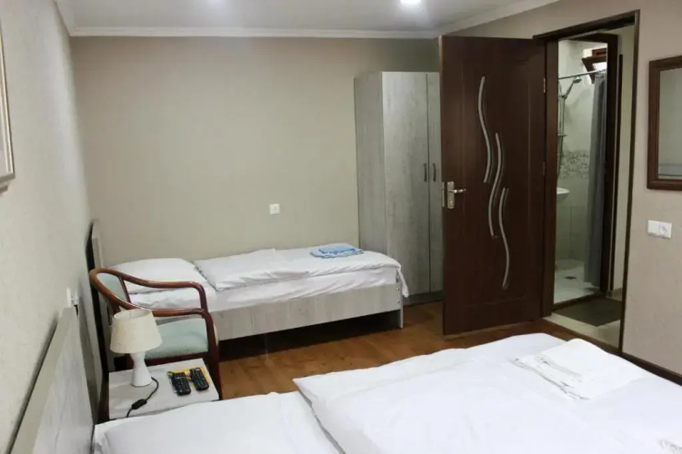 Guest House Erekle 6