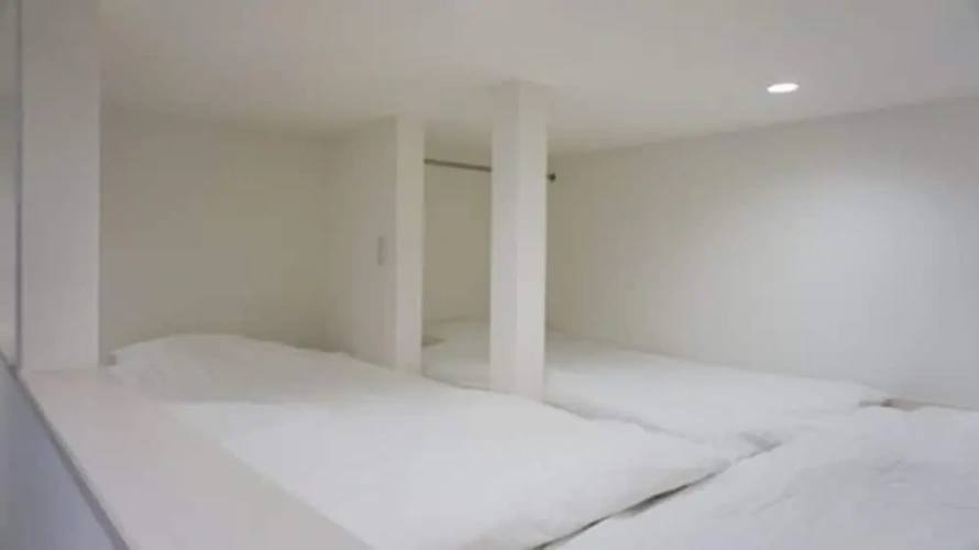 Standard Studio