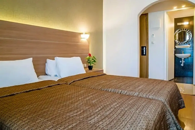 Standard Double room with balcony and with view