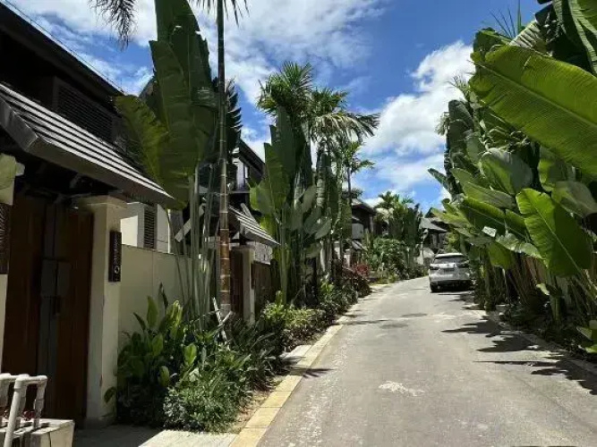 Mann court