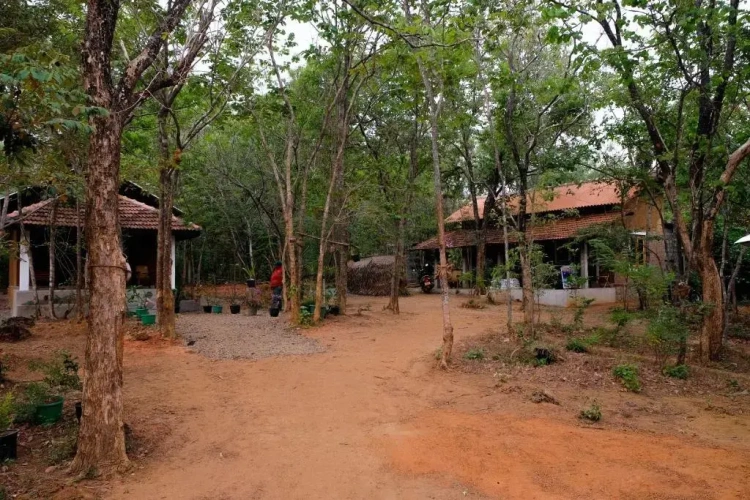Standard Villa