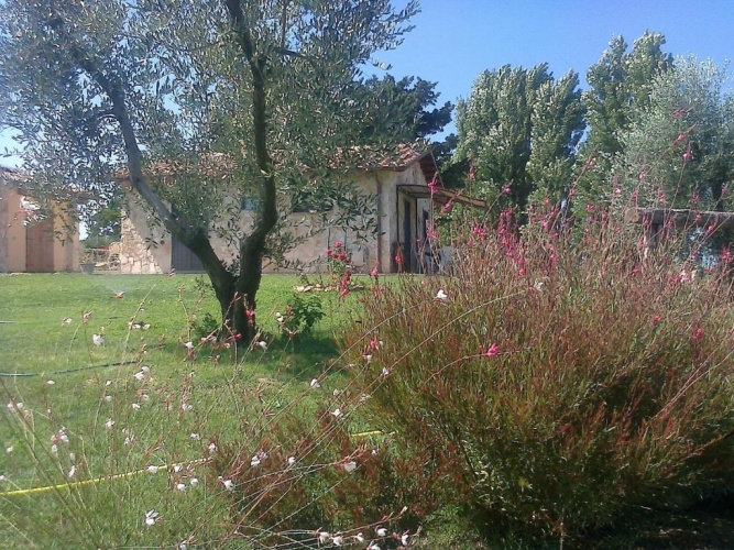2 Bedrooms Apartment with garden view