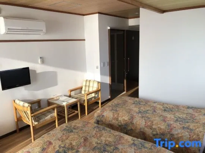 Standard Twin room with ocean view