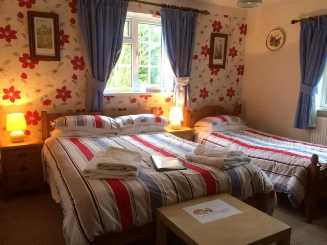 Junior Suite