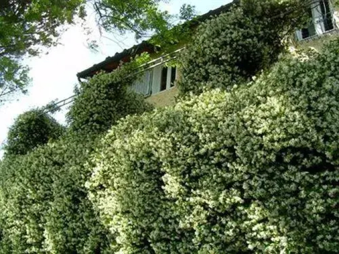 In centro - Mutino
