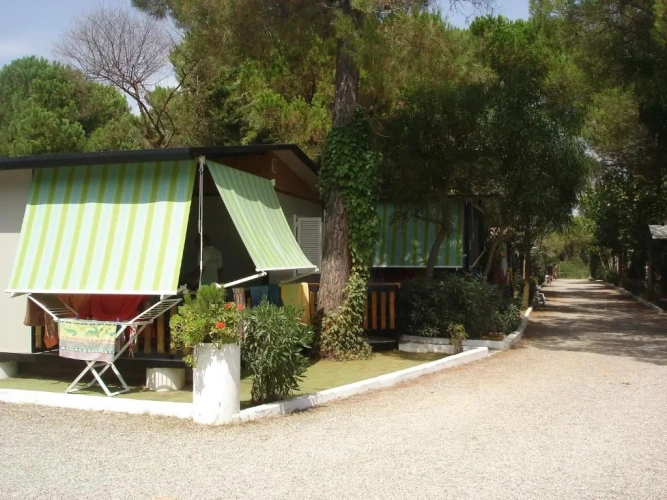 Bungalow