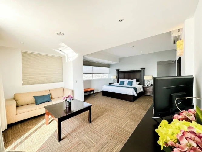 1 Bedroom Standard room with city view