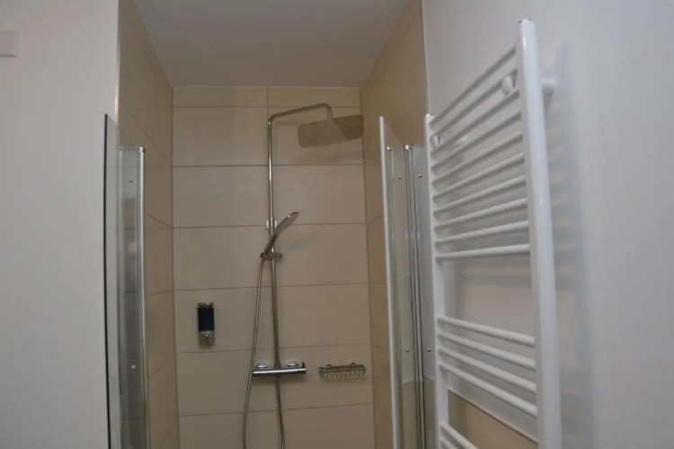 Bisping33