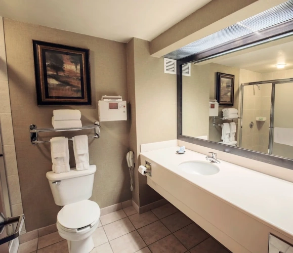 Deluxe Double room with view