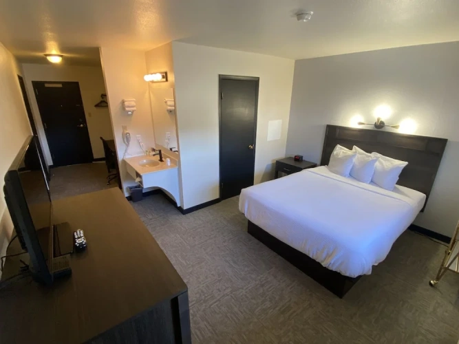 Premium Single room