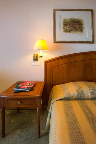Standard Double room with balcony and with view