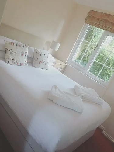 Camellia chalet