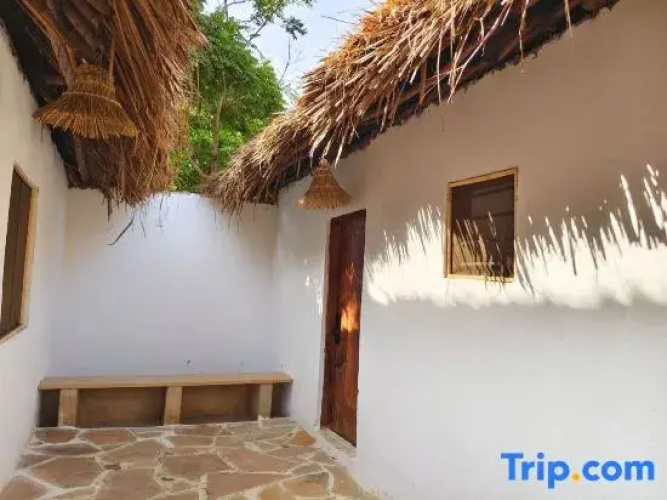 Sawa Sawa Beach Hotel & Backpackers