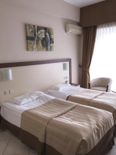 Standard Twin room with land view