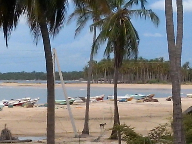 Five Trees Beach Resort Hotel