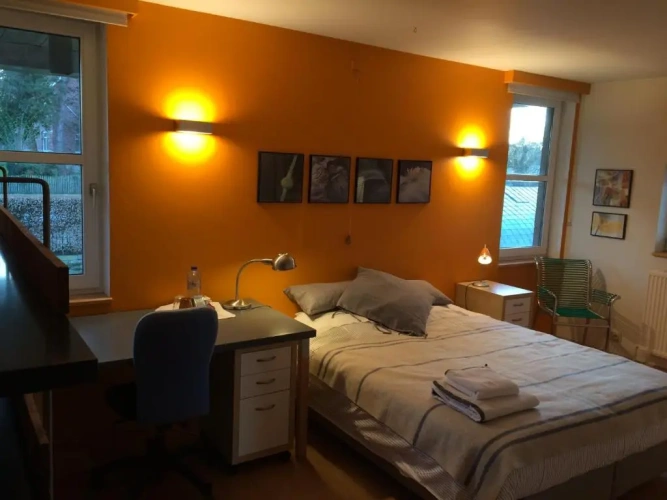 Standard Double room with garden view
