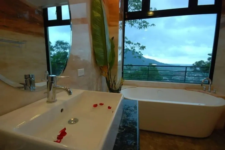1 Bedroom Standard Double room with balcony