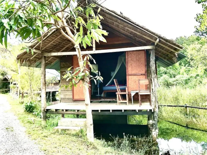 Frog Garden Hut
