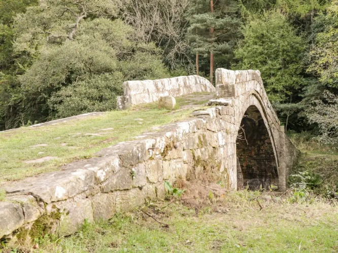 Rosedale