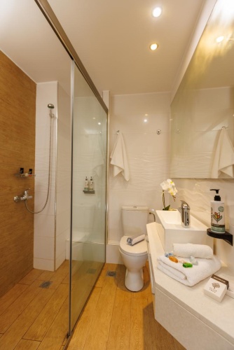 Superior Double room with balcony and with garden view