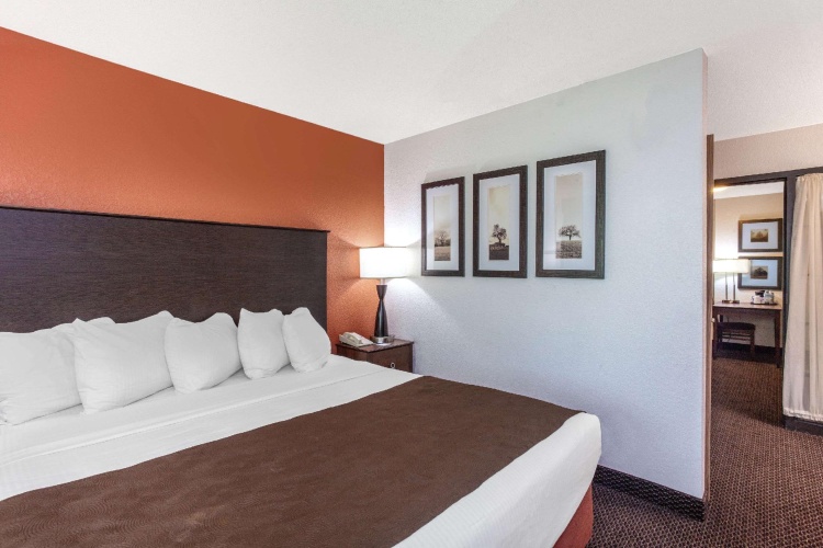Premier Double Suite