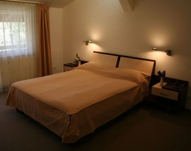 1 Bedroom Standard Double room with balcony