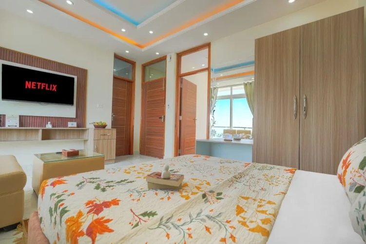 Deluxe Apartment