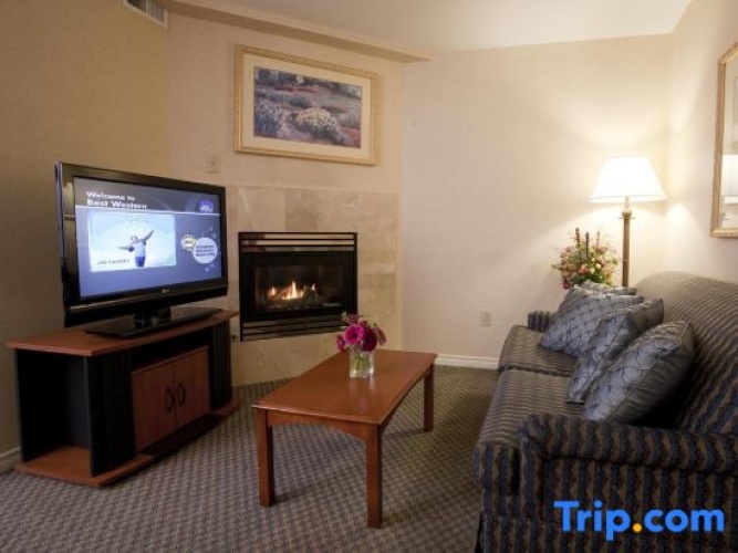 1 Bedroom Suite