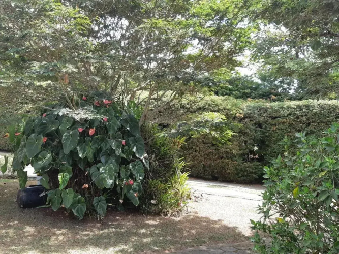 Villa Corinigua III