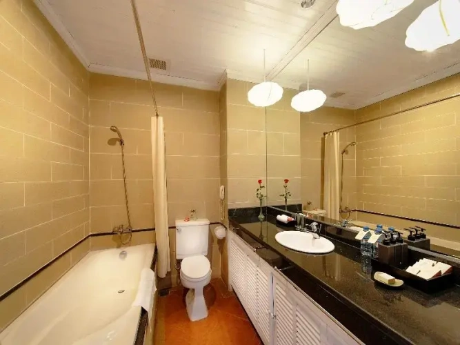 Superior Double room with balcony