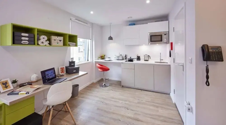 Beautiful Studio In Kingston Area