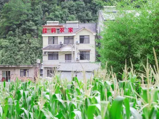 Jiali Farmhouse