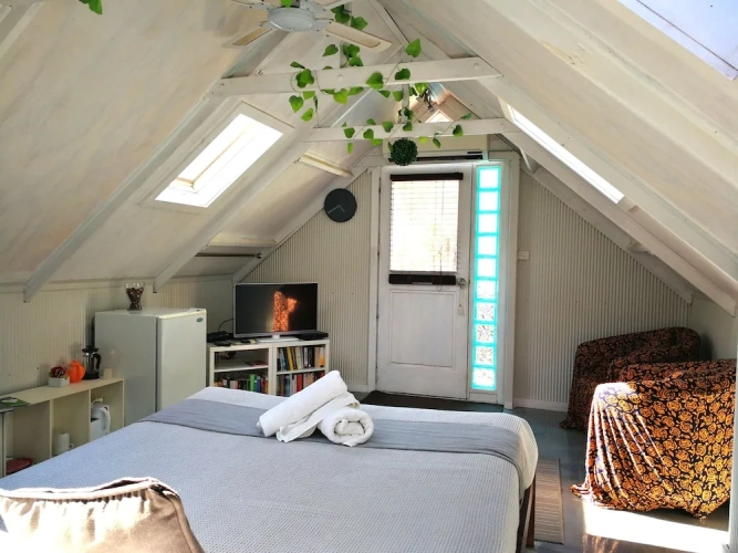 Comfort Apartment