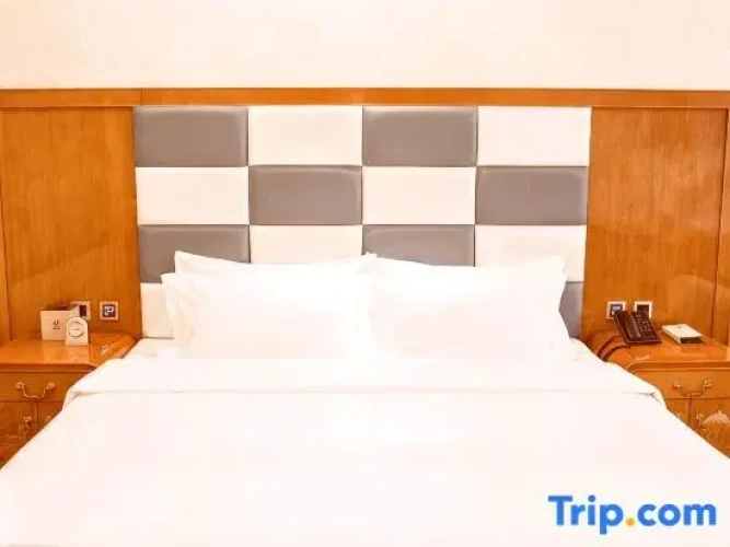 Double Duplex Suite
