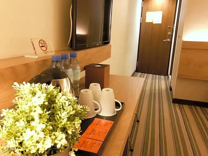 Standard Twin room with view