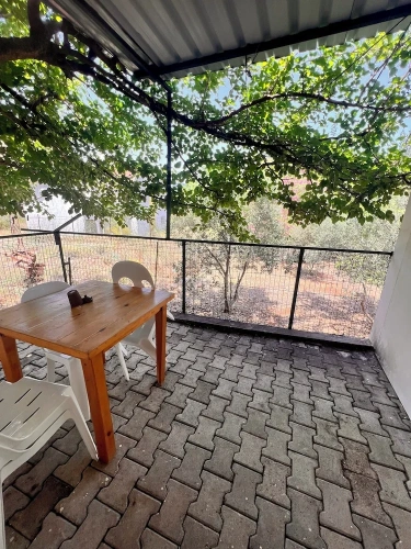 Economy Apartment