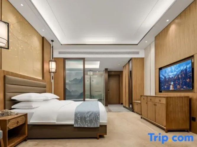 Business Suite with balcony
