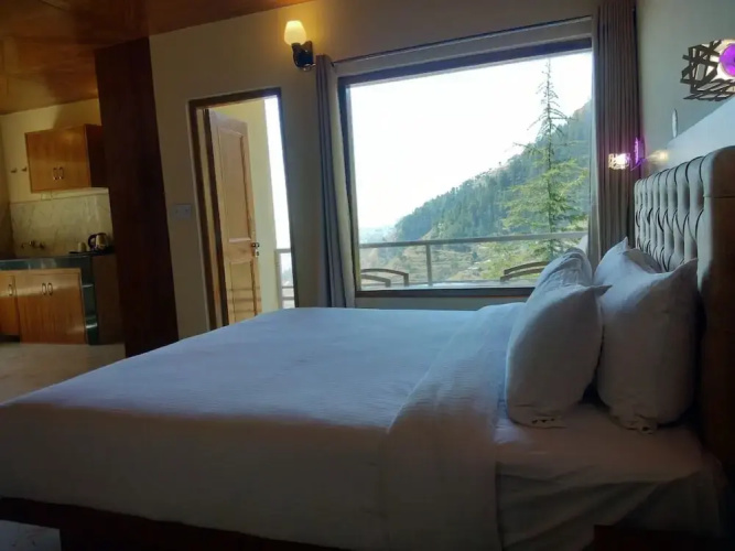 The Jungle Story - Shimla | By Headquarter