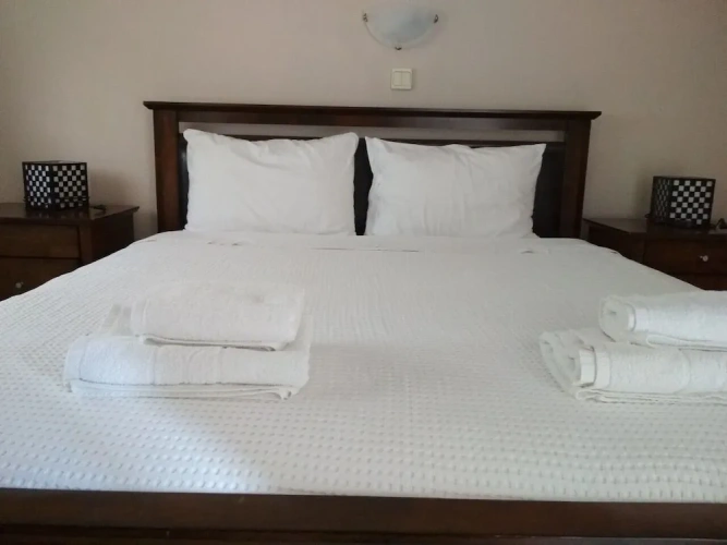 Standard room with balcony and with mountain view